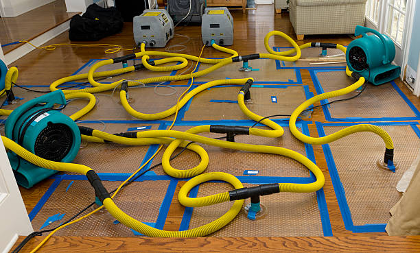 Professional Sewage Cleanup technician working in New Franklin, MO